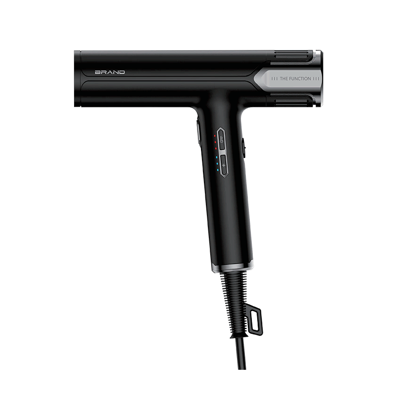 HD-220 Professional Hair Dryer