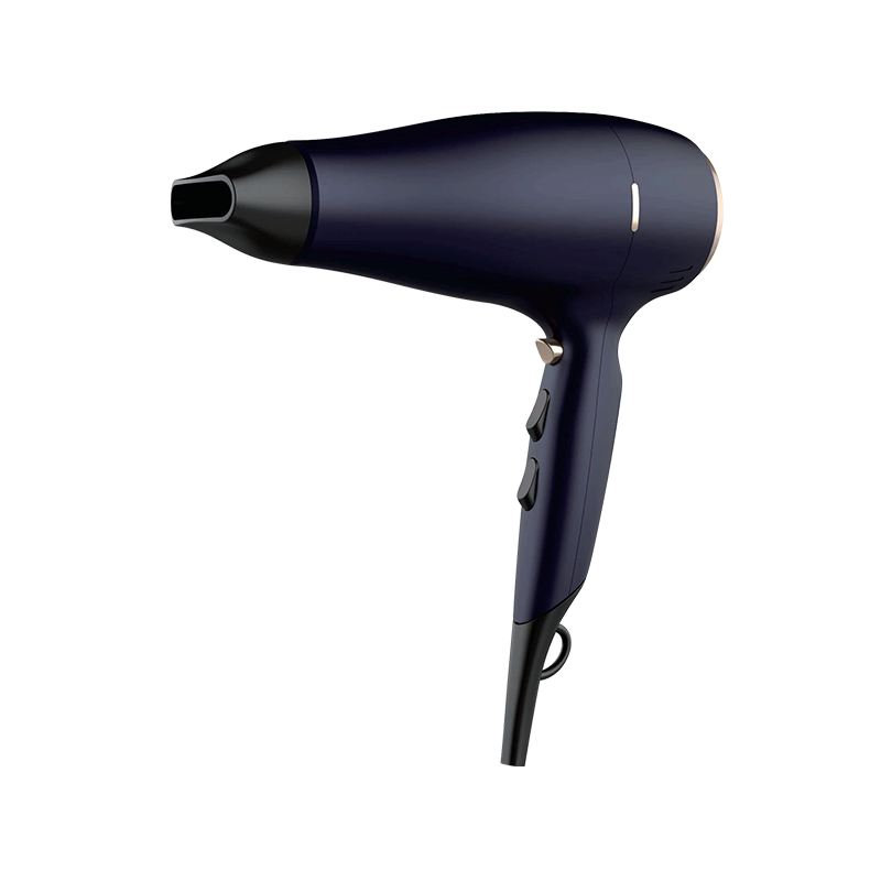 HD-1816C Professional Hair Dryer