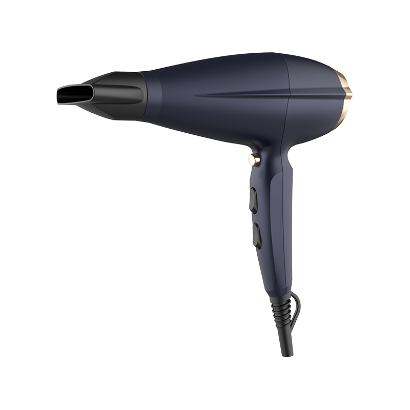 HD-160 Professional Hair Dryer