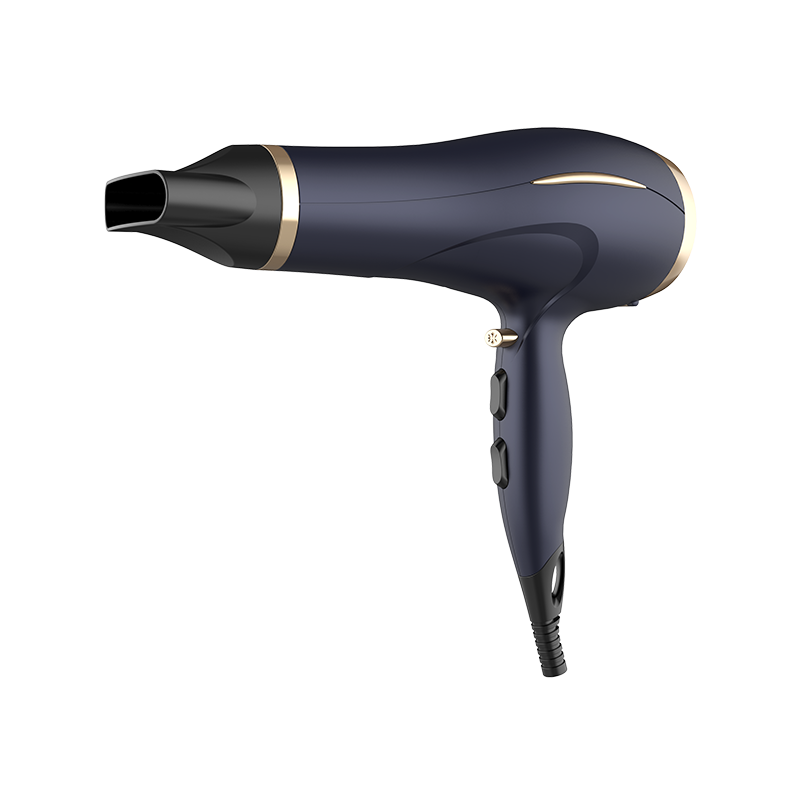 HD-180 Professional Hair Dryer